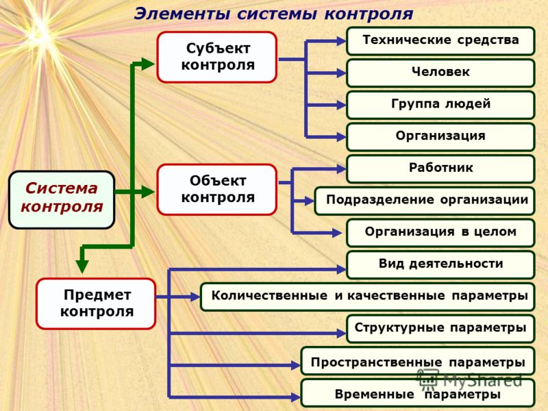 Основные элементы системы. Элементы системы контроля. Основные элементы контроля. Субъекты контроля. Субъект и объект контроля.